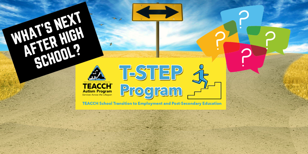 TSTEP website banner