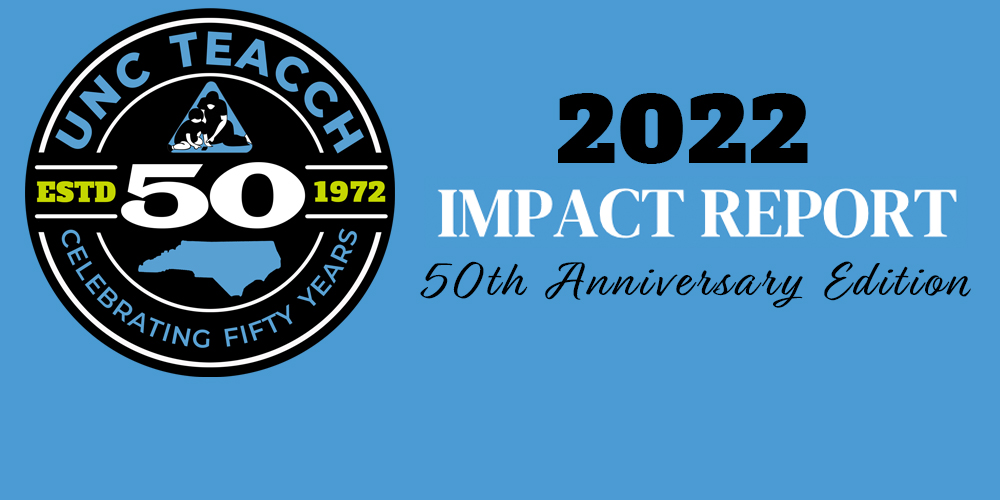 teacch impact report 22 website banner